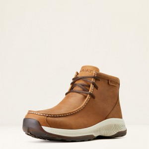 Ariat Spitfire All Terrain Toasty Tan Polska | WPXCMJ-105