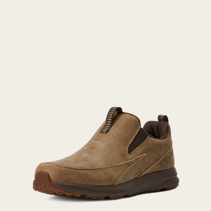 Ariat Spitfire Slip On Brązowe Polska | ARMSYO-648