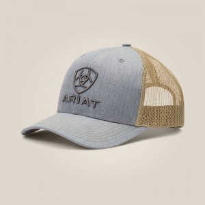 Ariat Stacked Logo Cap Grey/Tan Polska | SMDIZQ-258