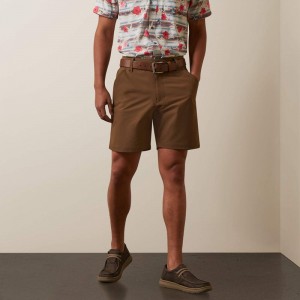 Ariat Tek Short Teak Polska | EXBVNT-601