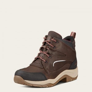 Ariat Telluride Ii H2o Dark_Brown Polska | EFGXQO-067