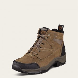 Ariat Terrain Boot Taupe Polska | BSQNKJ-293