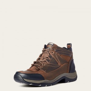 Ariat Terrain Brązowe Polska | CWGXDI-456