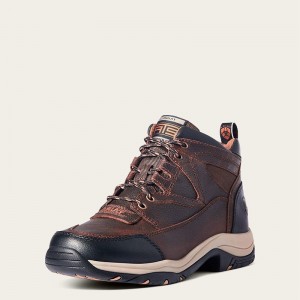 Ariat Terrain Brązowe Polska | QOUJZS-842