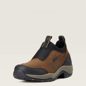 Ariat Terrain Ease Waterproof Brązowe Polska | CRZYKB-635