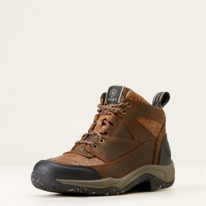 Ariat Terrain Eco Boot Brązowe Polska | DTBKVM-759