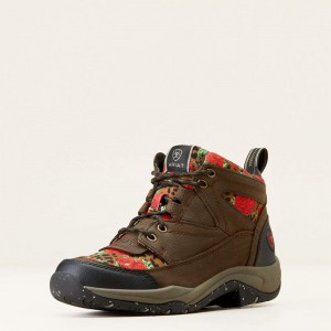 Ariat Terrain Eco Boot Java Polska | OUTHJZ-630