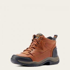 Ariat Terrain Sunshine Polska | XTCFWO-572