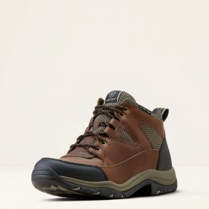 Ariat Terrain Venttek 360 Boot Distressed Brown/Taupe Polska | RHBZOI-062