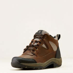 Ariat Terrain Venttek 360 Boot Distressed Brown/Taupe Polska | RUGCZK-645