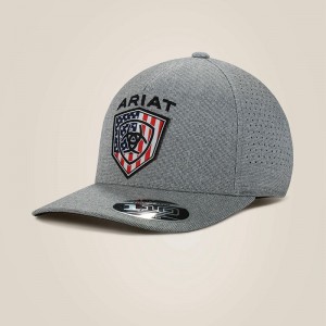 Ariat Usa Flag Shield Logo Cap Gray Polska | TSRCFX-531