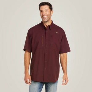 Ariat Venttek Classic Fit Shirt Malbec Polska | KHMICA-764