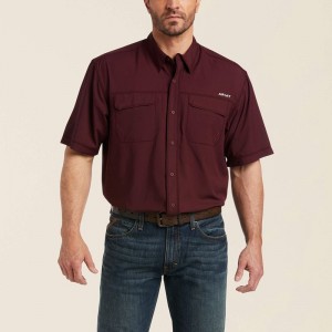 Ariat Venttek Outbound Classic Fit Shirt Berry Bark Polska | NUEQLX-035