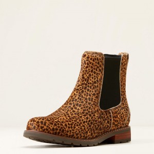 Ariat Wexford Chelsea Boot Cheetah Hair On Polska | APYCHZ-098