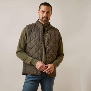 Ariat Woodside Vest Earth Polska | QGCZTR-368