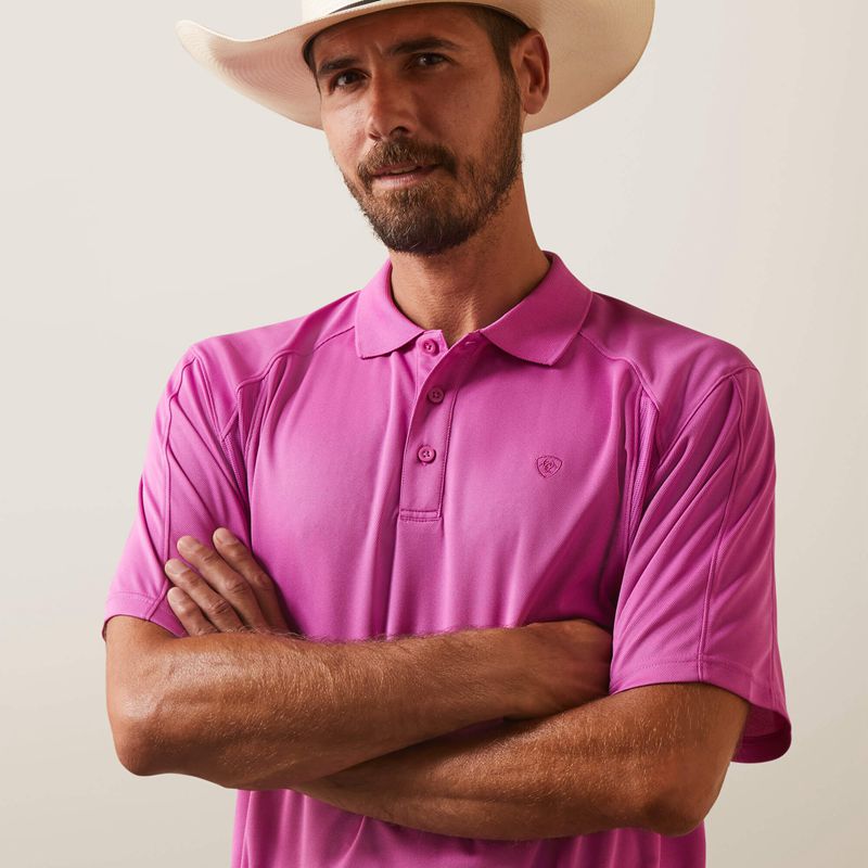 Ariat Ac Polo Dk Orchid Polska | YVCXED-148