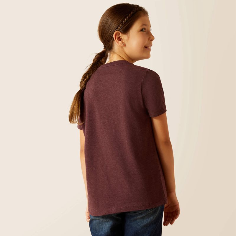 Ariat American West T-Shirt Wine Polska | ZWTKJU-908