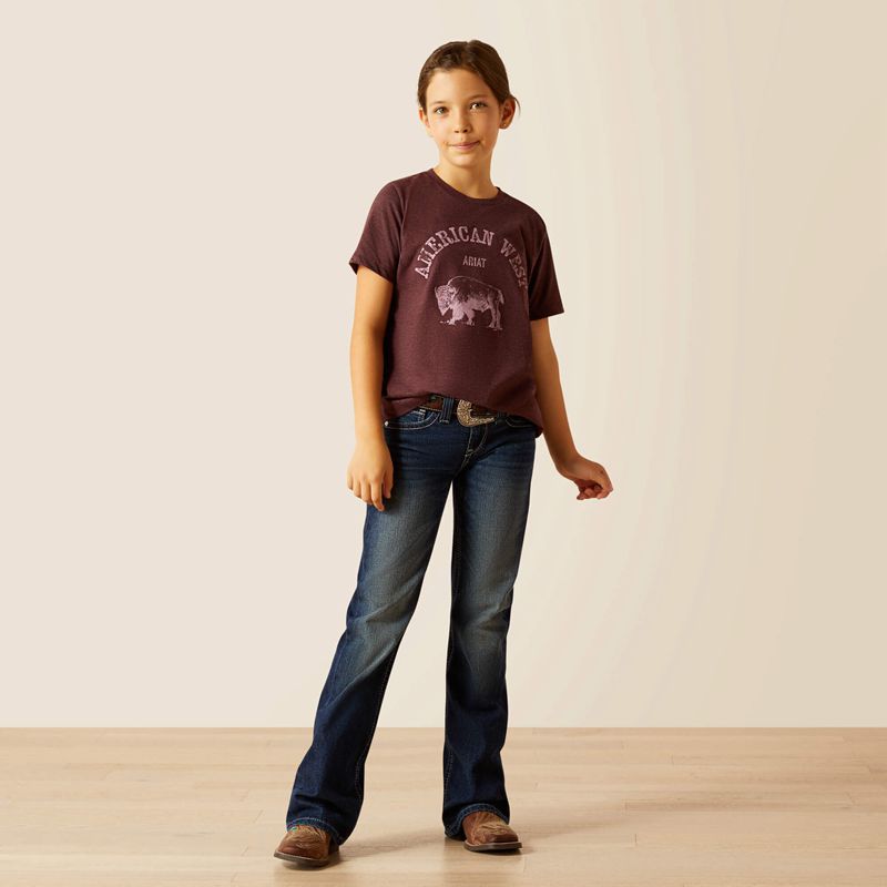 Ariat American West T-Shirt Wine Polska | ZWTKJU-908