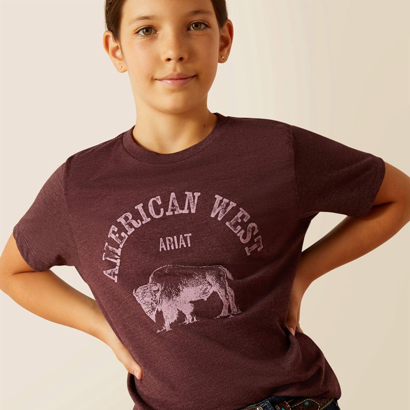 Ariat American West T-Shirt Wine Polska | ZWTKJU-908