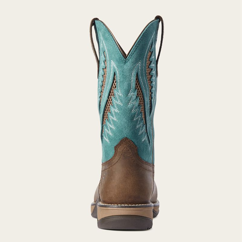 Ariat Anthem Venttek Composite Toe Work Boot Królewski Niebieski Czekolada Polska | LSXETK-590