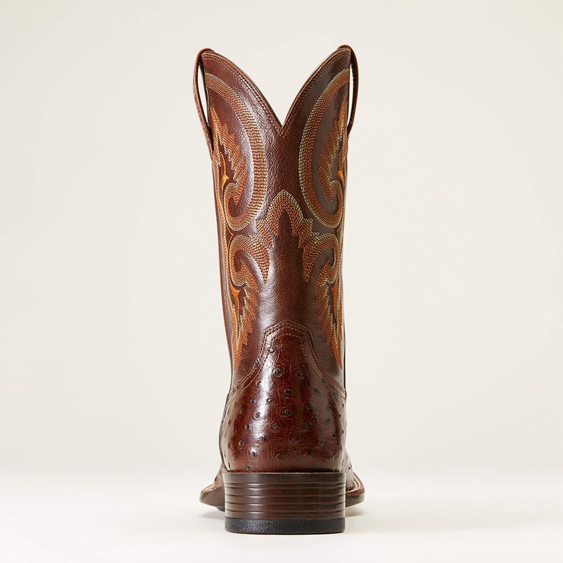 Ariat Barley Ultra Western Boot Ciemny Polska | FKQUTI-190