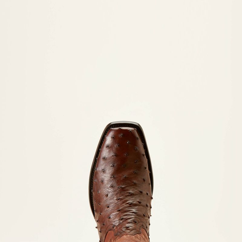 Ariat Bench Made Stilwell Western Boot Bourbon Full Quill Ostrich Polska | JVQZRO-153