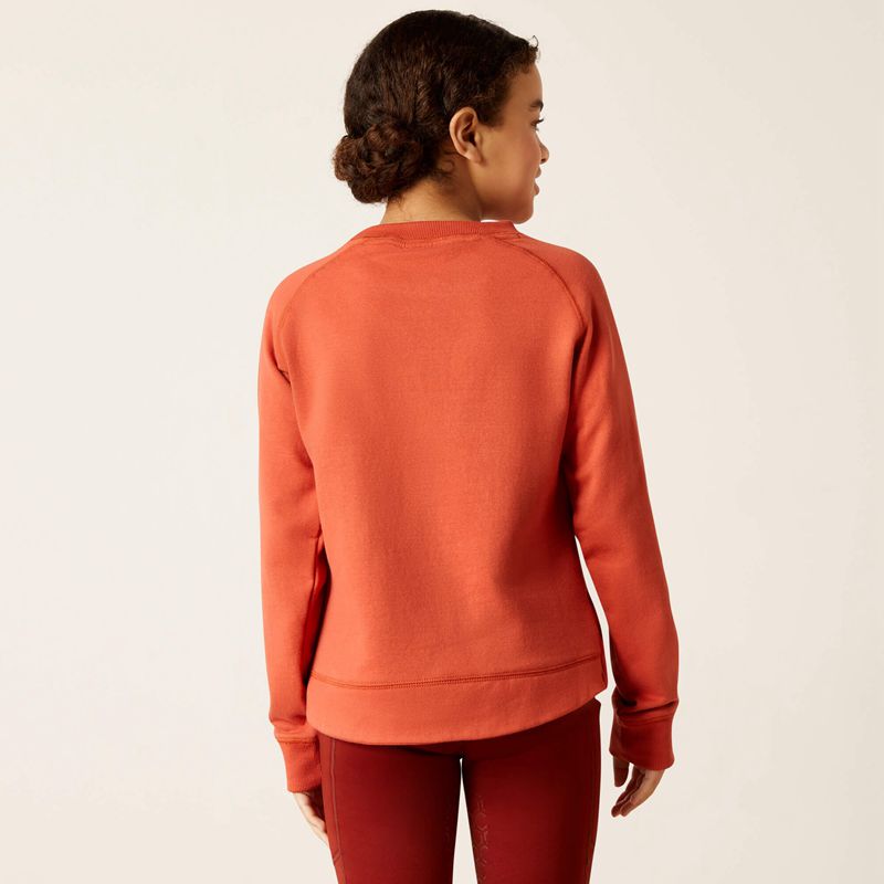 Ariat Benicia Sweatshirt Burnt Brick Polska | YSXZDN-685