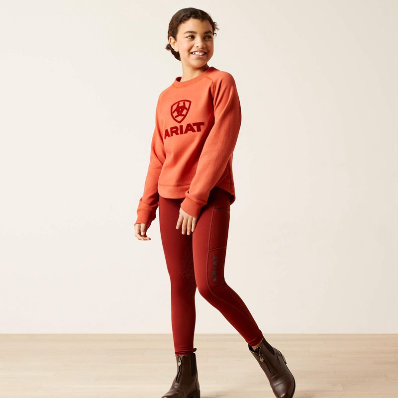 Ariat Benicia Sweatshirt Burnt Brick Polska | YSXZDN-685