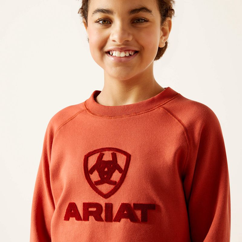 Ariat Benicia Sweatshirt Burnt Brick Polska | YSXZDN-685