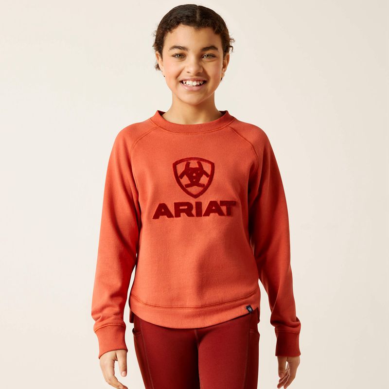 Ariat Benicia Sweatshirt Burnt Brick Polska | YSXZDN-685