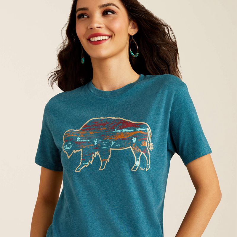 Ariat Bison Ranch T-Shirt Jasny Polska | VWRKZE-732