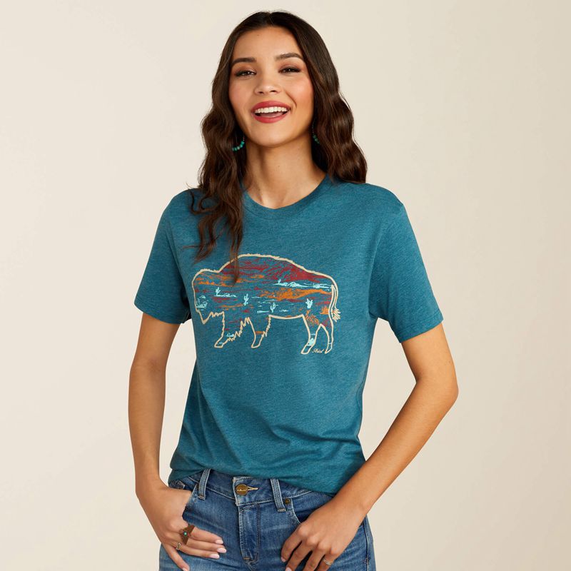 Ariat Bison Ranch T-Shirt Jasny Polska | VWRKZE-732