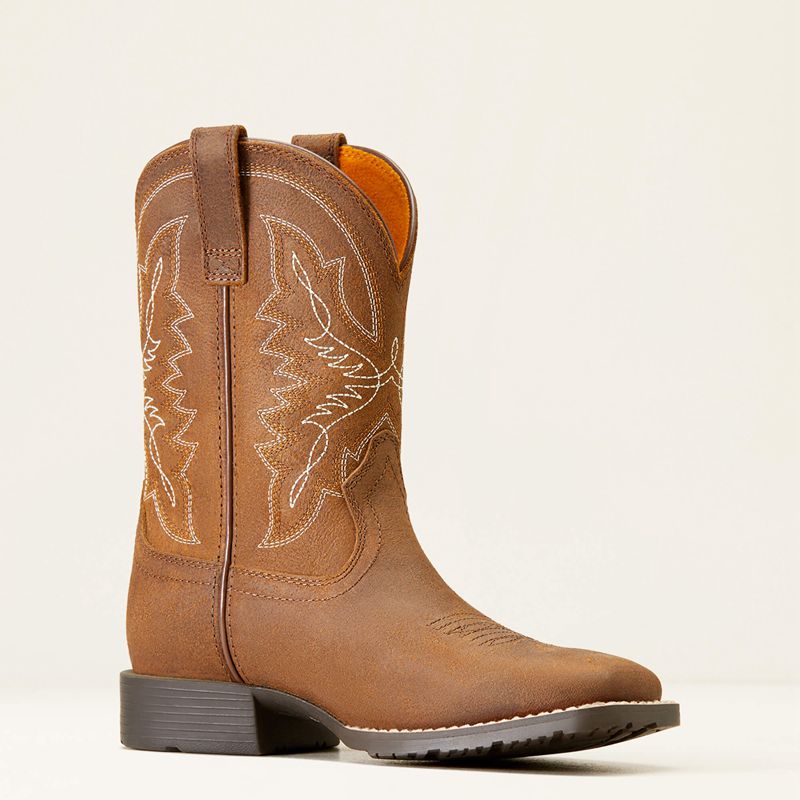 Ariat Bk Hybrid Rancher Western Boot Distressed Tan Polska | GMRKXO-952