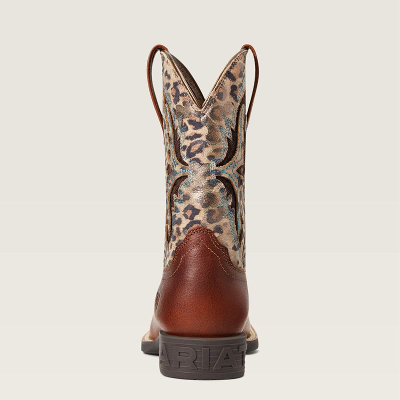 Ariat Bk Koel Venttek Western Boot Spiced Cider Polska | VSLHJR-648