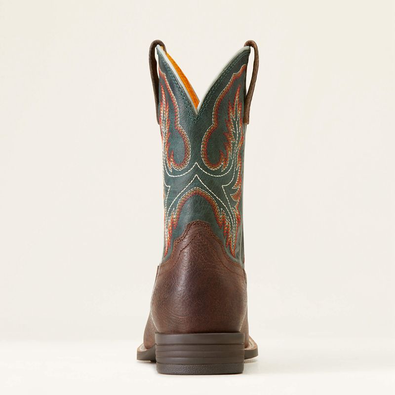 Ariat Bk Wilder Western Boot Brązowe Polska | EVYLIA-245