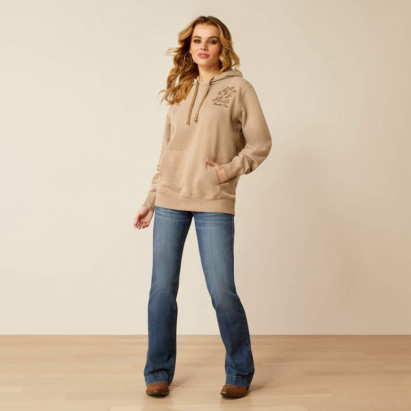 Ariat Bronco Stitch Hoodie Ciemny Polska | JOBMAK-920