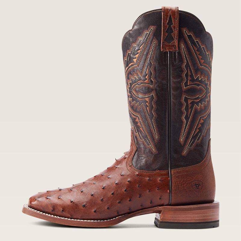 Ariat Broncy Western Boot Cinnamon Full Quill Ostrich Polska | WVKIOU-396