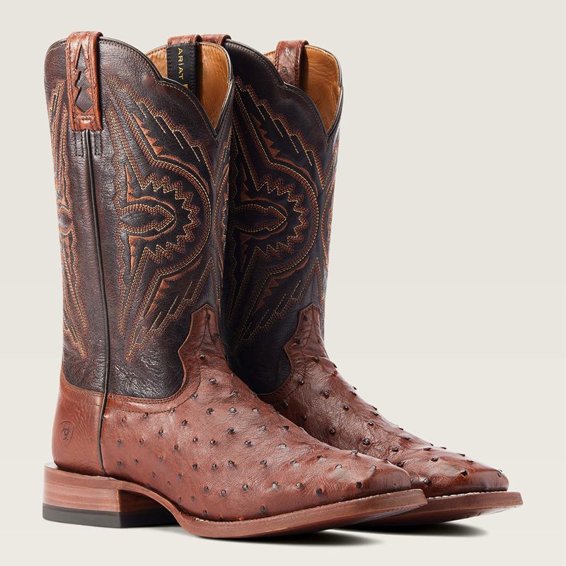 Ariat Broncy Western Boot Cinnamon Full Quill Ostrich Polska | WVKIOU-396