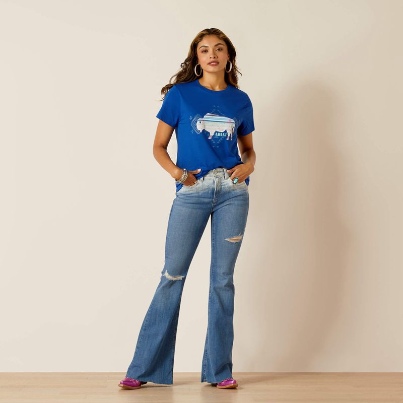 Ariat Buffalo T-Shirt Surf The Web Polska | AUCHSF-594