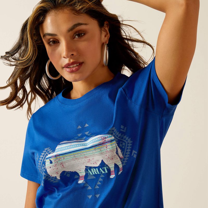 Ariat Buffalo T-Shirt Surf The Web Polska | AUCHSF-594