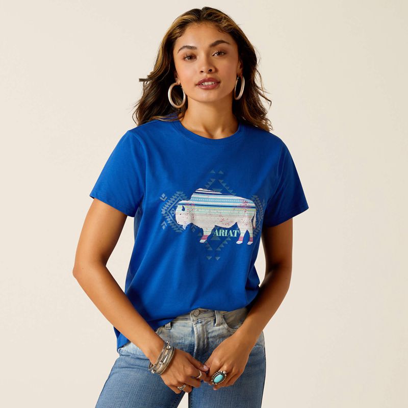 Ariat Buffalo T-Shirt Surf The Web Polska | AUCHSF-594