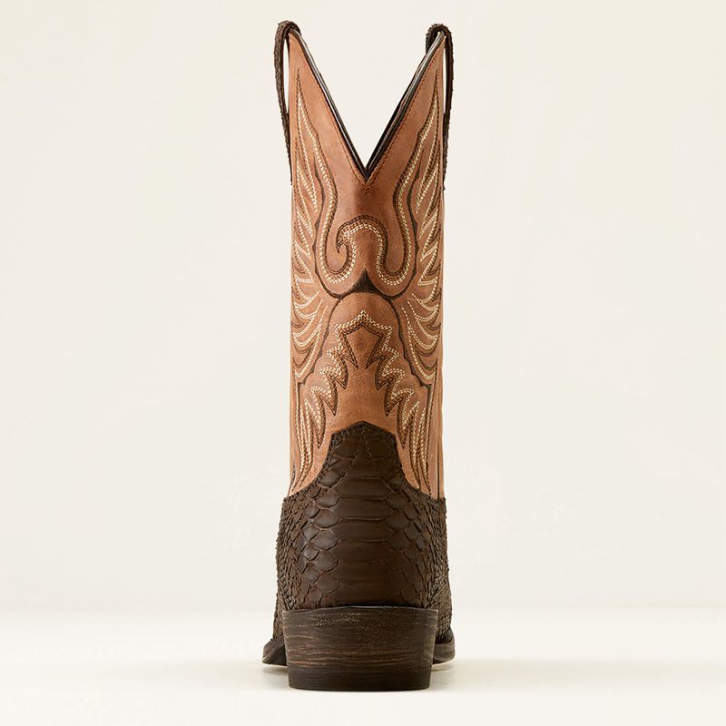 Ariat Circuit High Stepper Python Cowboy Boot Czekolada Polska | BHWKZP-619