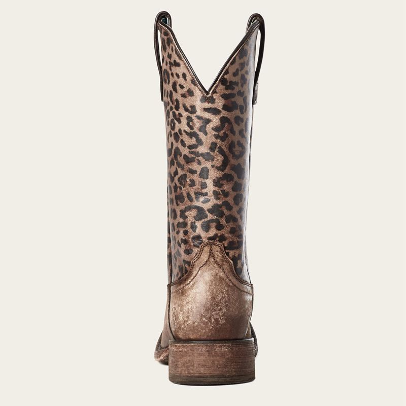 Ariat Circuit Savanna Western Boot Brązowe Polska | OZFTQA-286