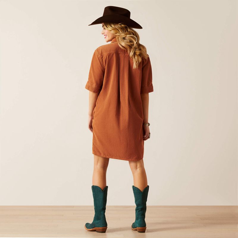 Ariat Corduroy Dress Khaki/Camel Polska | NIDFQY-038