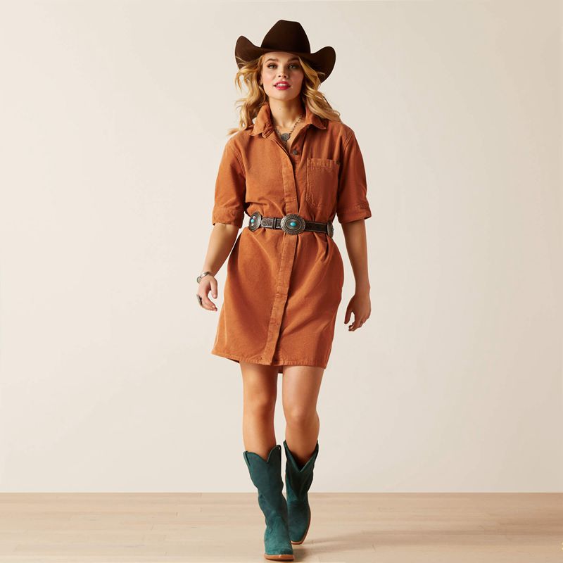 Ariat Corduroy Dress Khaki/Camel Polska | NIDFQY-038