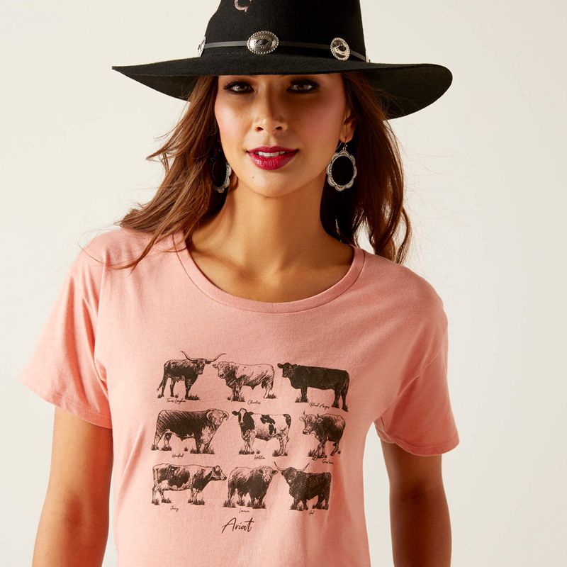 Ariat Cow Chart T-Shirt Sunset Heather Polska | XQODJK-865