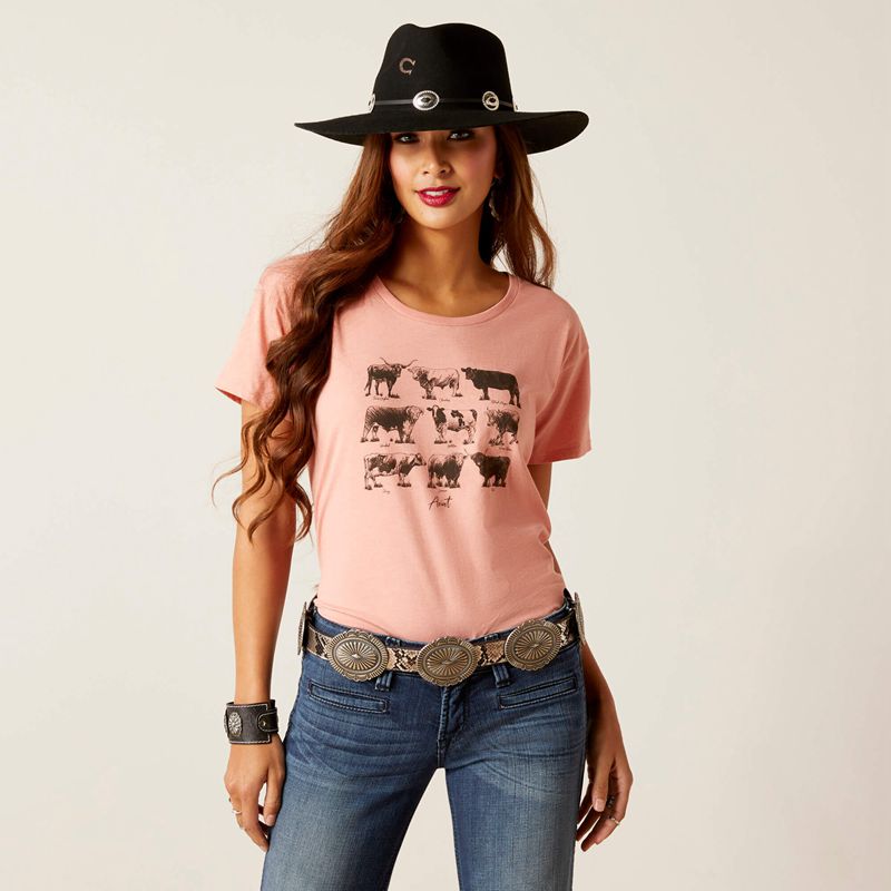 Ariat Cow Chart T-Shirt Sunset Heather Polska | XQODJK-865