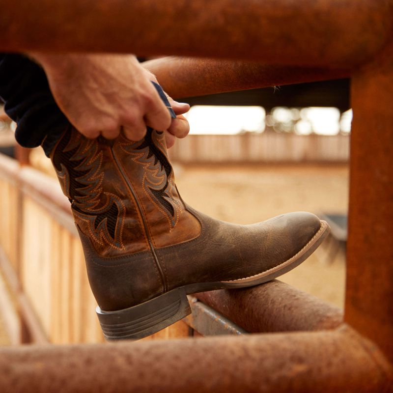 Ariat Cowpuncher Venttek Cowboy Boot Ciemny Brązowe Polska | KTADVS-845