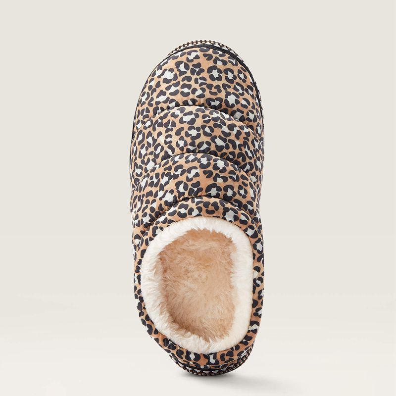 Ariat Crius Clog Slipper Panterka Polska | SBVLJX-527