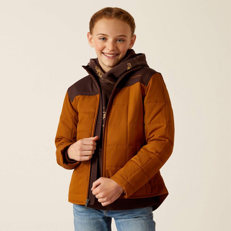 Ariat Crius Jacket Chestnut Horse/Chocolate Plum Polska | SNVGHQ-953